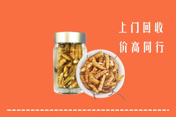 通河县回收冬虫夏草
